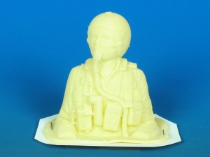 1/9 SCALE JET PILOT