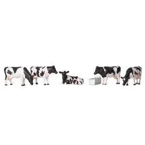 Cows and Calf