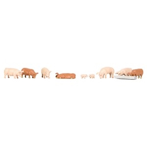 Pigs and Piglets