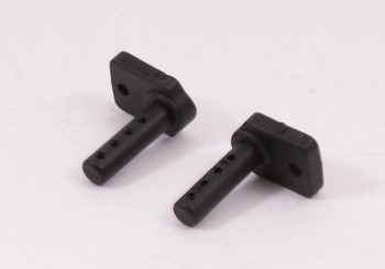 Body Mount
