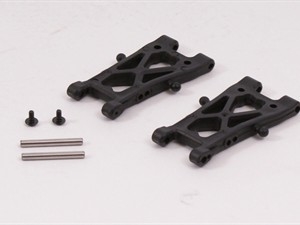 Lower Susp. Arm Unit