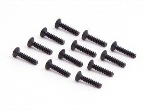 Flat Cross Screw (Tpf3*14)