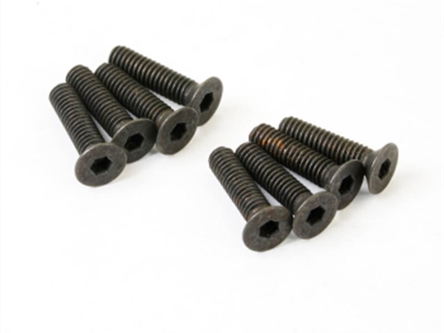 FTX FLAT HEAD 2.5X10MM SCREWS