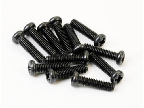 FTX HAVOK PANHEAD SCREWS 2.5 x 10MM (12pc)
