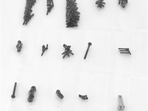 FTX OUTBACK MINI XP EVO TEXAN SCREW SET