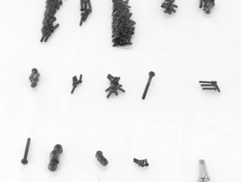FTX OUTBACK MINI XP EVO VAN SCREW SET