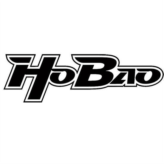 Hobao Servos