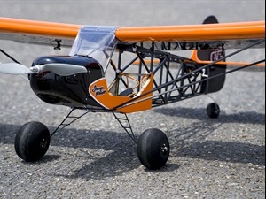 DW Hobby Savage Bobber ARF 1.0M. Includes  Motor, ESC, 6 servos