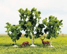 Birch Trees