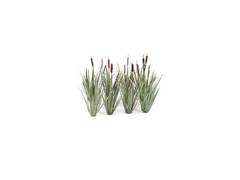 Reeds (16) Kit