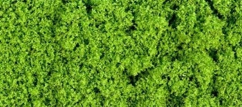 Foliage Light Green