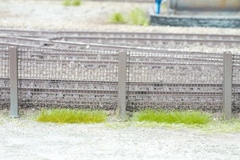 Spring Grass Strips