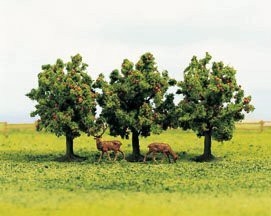 Apple Trees