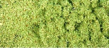 Meadow Green Scatter