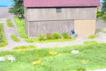 Flowering Grass Tufts