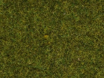 Meadow 2.5mm Static Grass 30g