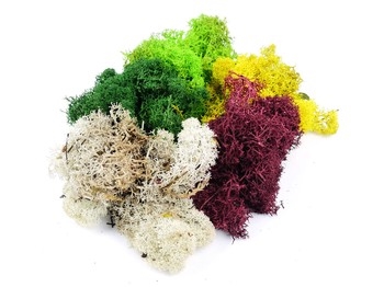 Mixed Lichen 80g (Was GM166)