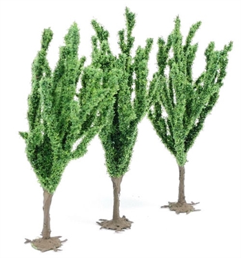 Poplar Trees (Pack of 3)
