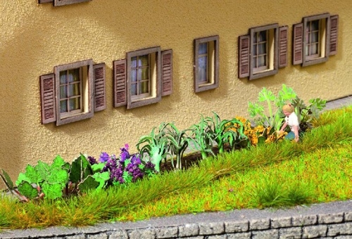 Noch 00 Garden Plants