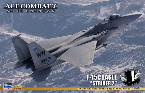 F-15C Eagle Strider 2