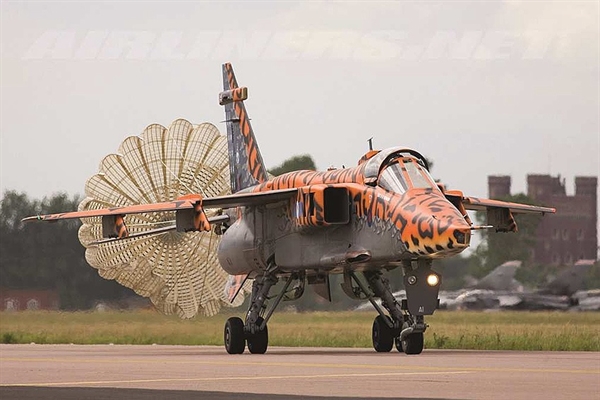 Jaguar GR.3 Big Cat