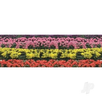 Blossom Hedges
