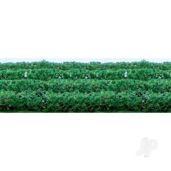Green Hedges