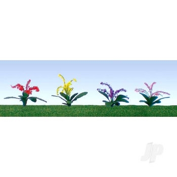 Petunias