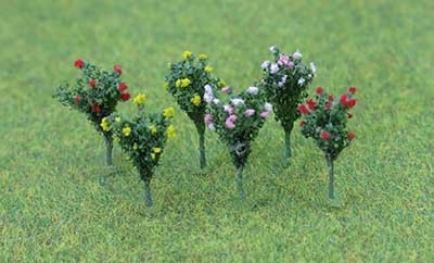 Hibiscus Flowers
