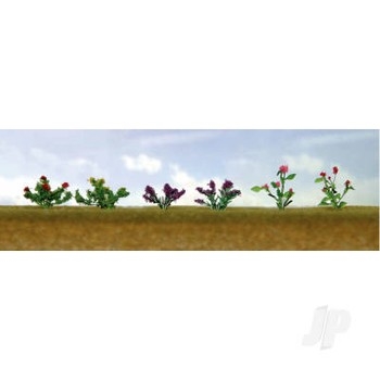 Assorted Flowering Plants 1