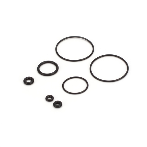 O-Ring Set: DYN .21
