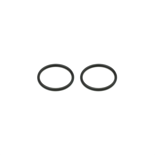 Backplate O-ring (2): .31
