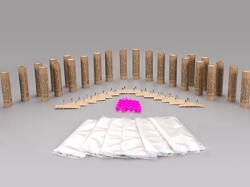 Rocket motors C6-5 Pk24