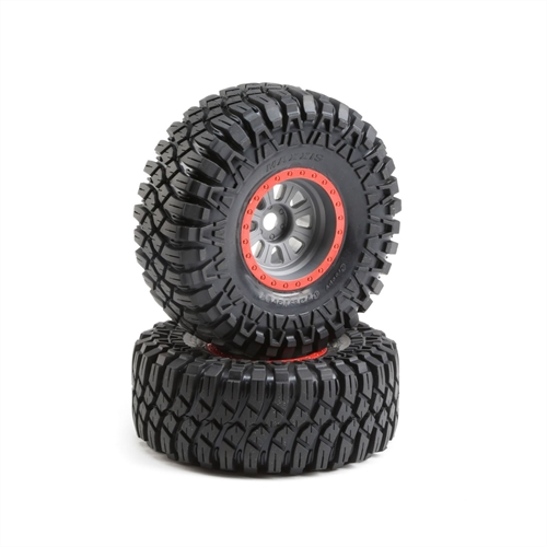 Maxxis Creepy Crawler LT, Mounted(2): SuperRockRey