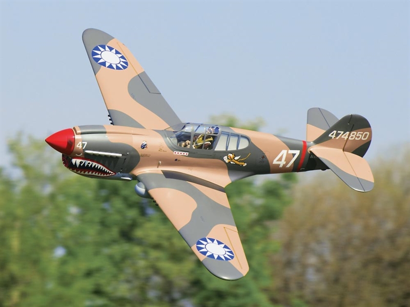 rc p 40 warhawk arf