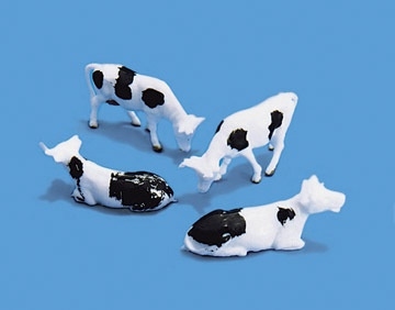 Cows