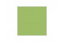 Aqueous Acrylic Hobby Color - H50 Gloss Lime Green 10ml