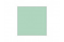 Aqueous Acrylic Hobby Color - H41 Gloss Pale Green 10ml