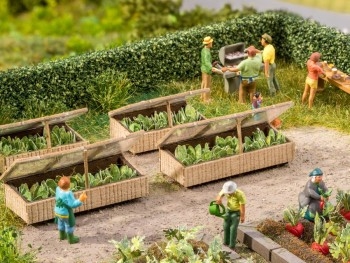 COLD FRAMES WITH LETTUCES LASER CUT KIT