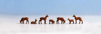 Noch 15740 Roe Deer (7) Figure Set