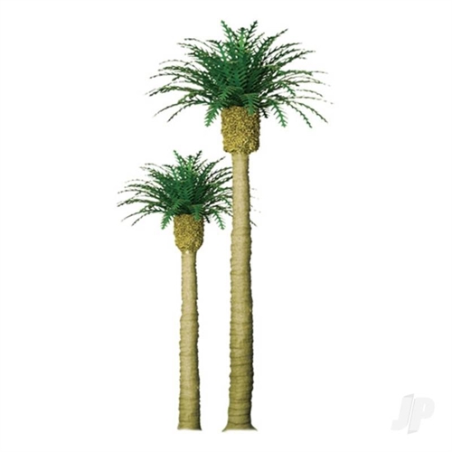 Phoenix Palm, 2in, (4 per pack)