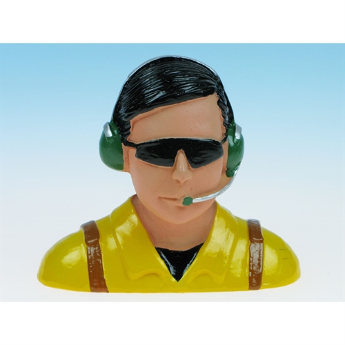 Pilot Yellow (Painted) P61A