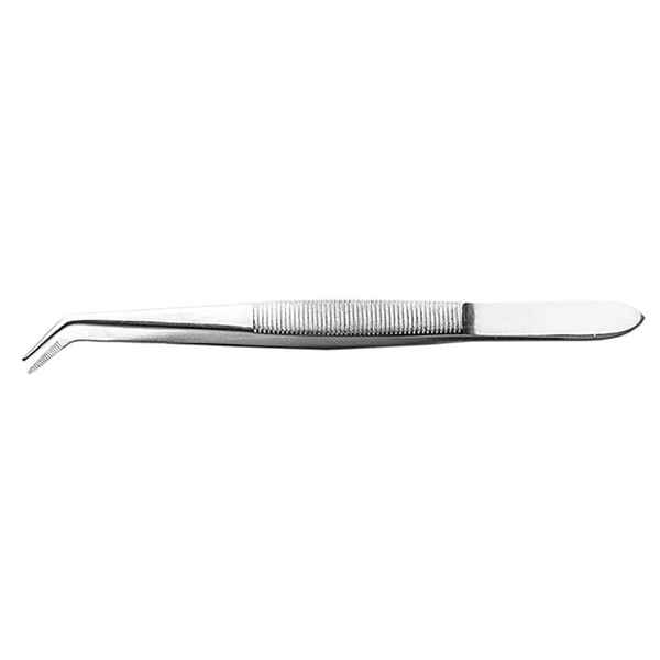 6in Curved Point Stainless Steel Tweezers (Carded)