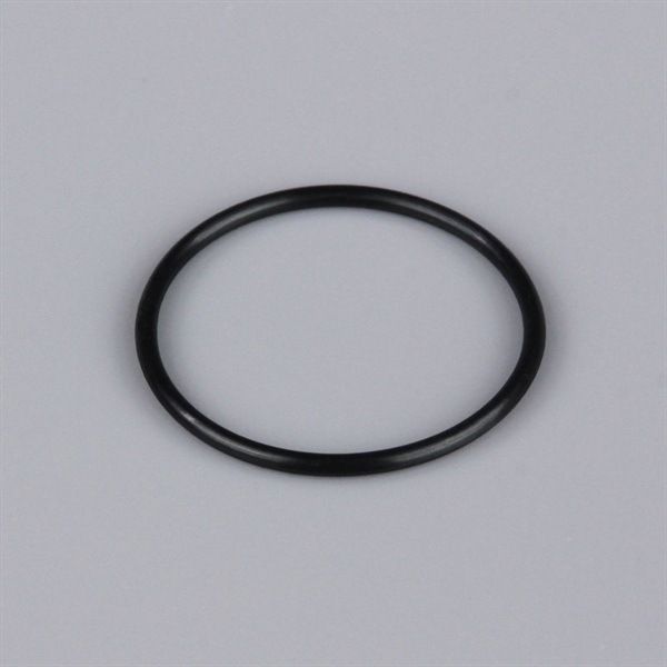 L001 Rear Crankcase Cover O-Ring