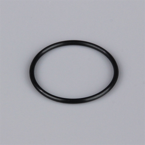 L001 Rear Crankcase Cover O-Ring