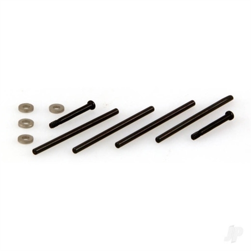 Hinge Pins and Washers (Animus)