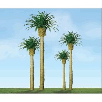 94354 Phoenix Palm, 3", (3 per pack)