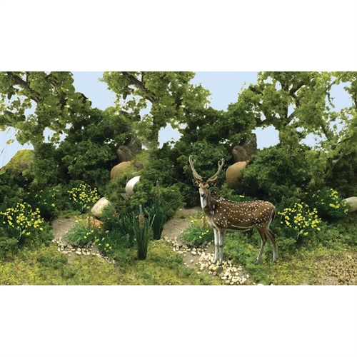 Enchanted Forest