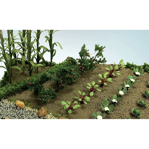 95704 Veggies in Bloom