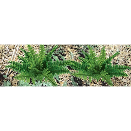 95534 Ferns, 1"" Tall, O-Scale, (9 per pack)